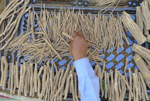 Bersiwak Mendatangkan Keridhaan Allah | Republika Online