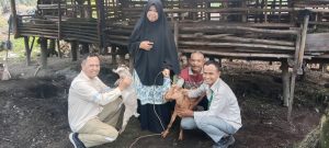 Apical Berikan Pelatihan Budidaya Kambing dan Pemafaatan Limbah Ternak