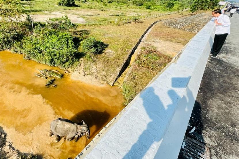 JTTS, Wujud Pembangunan Infrastruktur dan Kelestarian Satwa Liar Bisa Beriringan