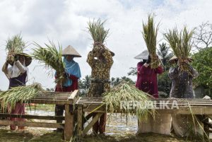 Jaga Harga, BI: Indonesia Perlu Perkuat Ketahanan Pangan