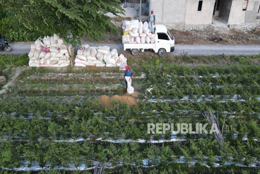 Kementan Gandeng FAO Luncurkan Strategi Digitalisasi Pertanian