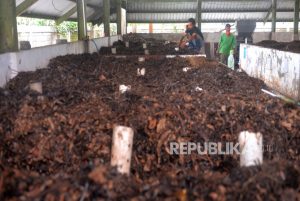Menteri LHK: Kompos Jadi Paradigma Baru Penanganan Sampah