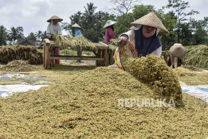 Badan Pangan Minta Bulog dan Penggilingan Padi Perkuat Sinergi