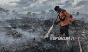 Pemerintah Daerah di Seluruh Kalteng Diminta Siaga Karhutla