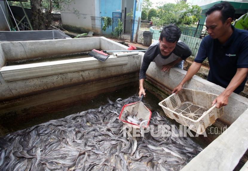 Pemkot Tangerang Gelar Mancing Bersama di Sungai Cisadane