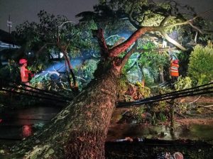 Rumah Ambruk Hingga Pohon Tumbang Landa Kota Bogor