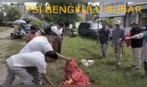 Viral Video Ribuan Kader Mengundurkan Diri, Ini Klarifikasi PSI Bengkulu