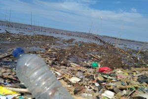 Wabup Tangerang Minta Warga Tingkatkan Kepedulian terhadap Lingkungan