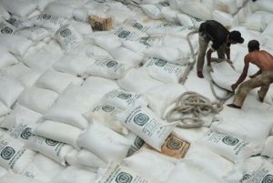 Warga Depok Serbu Ribuan Kantong Pupuk Gratis