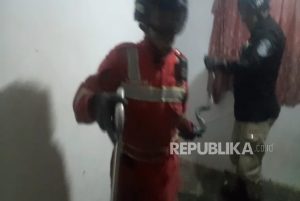 Warga Kuningan Kaget Ada Ular Kobra di Langit-Langit Dapur