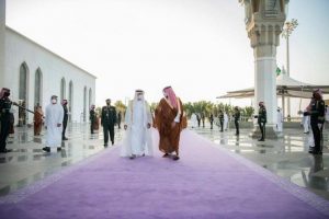 Wisatawan Terpesona Pemandangan Gurun Arab Saudi yang Dipenuhi Lavender