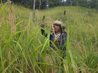 Digitalisasi Pertanian untuk Membantu Petani Kecil |oohya