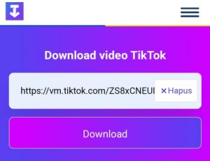 Download Video Tiktok Gratis Pakai Ssstik, Hanya Tiga Langkah |boyanesia