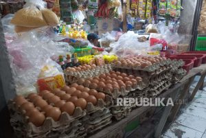 Harga Telur Ayam di Malang Naik Pascalebaran