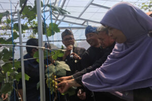 Sembilan Pohon Langka Ditanam di Cibiru Bandung, Ini Alasannya