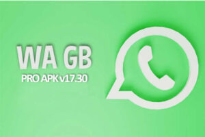 Link dan Cara Download WA GB (Whatsapp GB) Pro yang Asli v17.30
