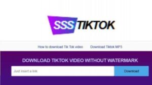 Download Video TikTok Pakai HP dengan SSSTikTok, No Watermark, Video Jernih