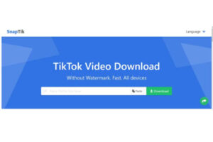 Snaptik.app: Download Video TikTok Tanpa Watermark ke MP4, Bebas Aplikasi
