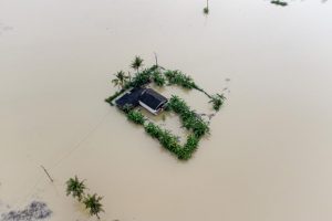 8.800 Hektare Sawah di Karawang Alami Puso Akibat Banjir