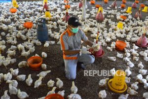 Antisipasi Flu Burung, DPKP Kabupaten Tangerang Awasi Lalu Lintas Ternak