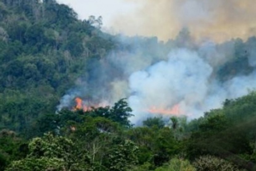 BMKG Deteksi 15 Titik Panas di Kalimantan Timur