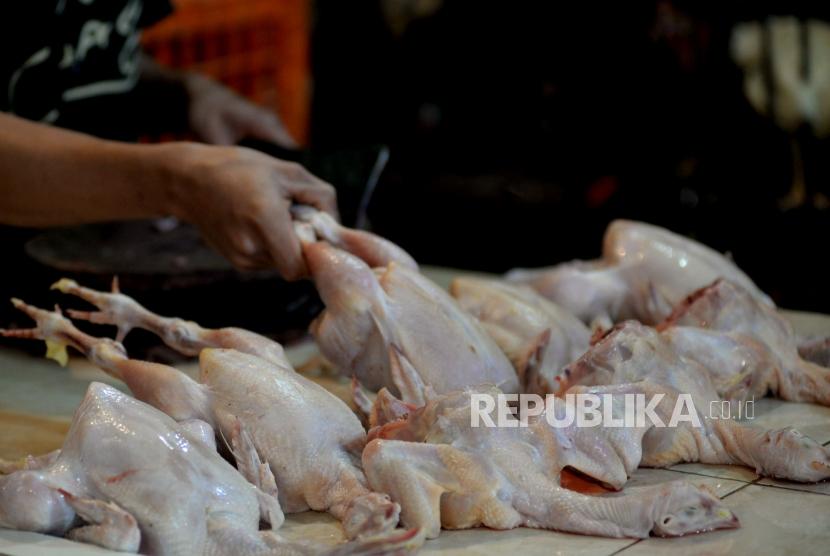 Bukan Cuma Pedagang di Pasar, Konsumen Juga Perlu Tahu Cara Cegah Penularan Flu Burung