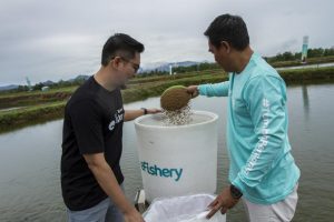 Bukan Platform Investasi, eFishery Pastikan Sudah Berizin Bukan Ilegal