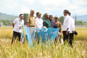 Bupati Kebumen: Terimakasih Pak Mentan, Bantuan Bermanfaat Naikkan Produksi Padi!