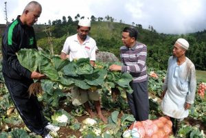 Ekonomi Cepat Tumbuh, Pemprov Sulsel ingin daerah lain Tiru program Pemkab Bantaeng