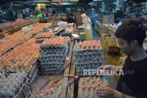 ID Food Jadi Penyalur Bantuan Pangan Ayam dan Telur