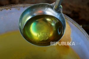 IFRA dan Dua Lembaga Indonesia Kembangkan Minyak Nilam