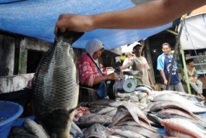 Jelang Ramadhan, Ketersediaan Ikan Konsumsi di Sleman Dipastikan Mencukupi