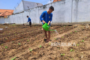 Kegiatan Pertanian di Lingkungan Lapas Kelas IIB Indramayu