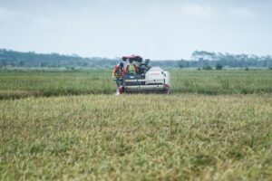 Kelompok Tani Bantul Dapat Bantuan Alat Panen Padi