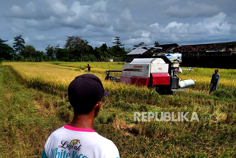 Kementan: 811 Ribu Petani Gunakan KUR Setelah Dilatih