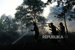 Laporan ke Jokowi, BNPB Sampaikan Potensi Kekeringan Meningkat pada 2023