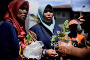 Layanan Mobil Klinik untuk Edukasi Penyakit Tanaman