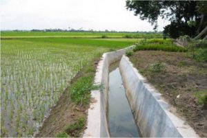 Longsor TPT Irigasi di Surade Sukabumi, Pengairan ke Sawah Terdampak