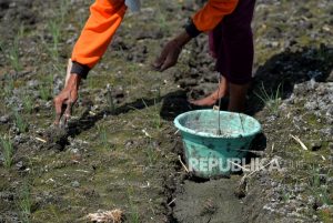 Musim Kemarau DIY Diprediksi Mulai April Dasarian II
