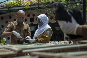 Pencegahan Penularan Virus Flu Burung di Bandung