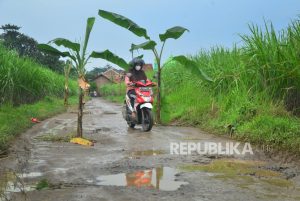 Protes Jalan Rusak Parah, Warga Tulungagung Tanam Pohon Pisang