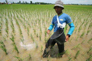 Pupuk Indonesia Kembangkan Clean Ammonia Dukung Net Zero Emission