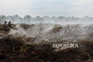 Selama 2023, Karhutla di Riau Sudah 16 Hektare