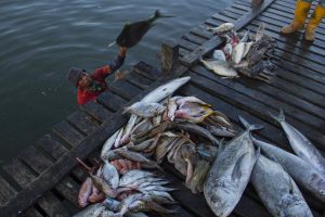 KKP Perkuat Pengawasan Zona III Penangkapan Ikan Terukur
