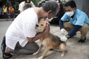 Tiga Anak Digigit Anjing Rabies di Dompu