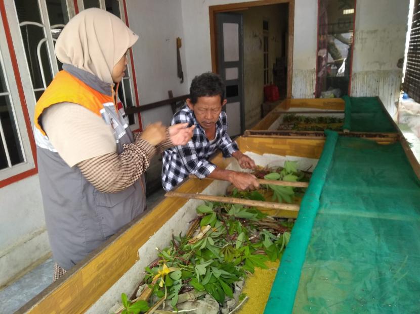 Tukang Becak Banting Setir jadi Peternak Jangkrik, Omset Jutaan Rupiah Tiap Bulan