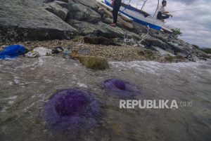 Wali Kota Pontianak Komitmen Tangani Perubahan Iklim