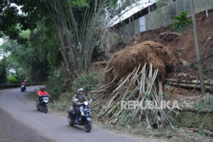 Dilanda Hujan Angin, Pohon Tumbang Timpa Rumah dan Jalan