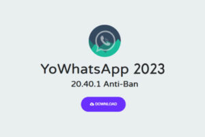 Download YoWhatsApp Terbaru 2023: Fitur, Link, dan Cara Menginstalnya