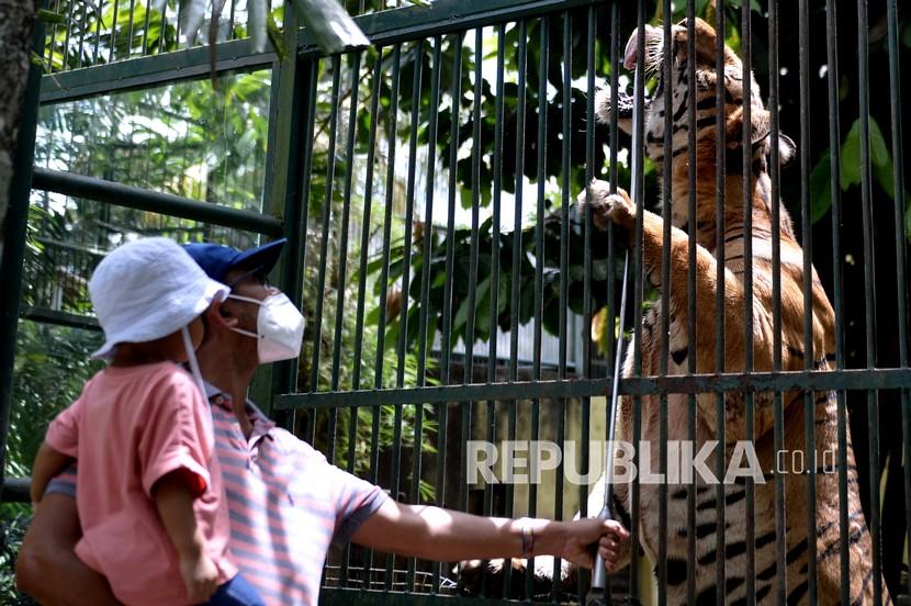 Bali Zoo Tambah Loket Tiket Hadapi Lonjakan Pengunjung Libur Lebaran